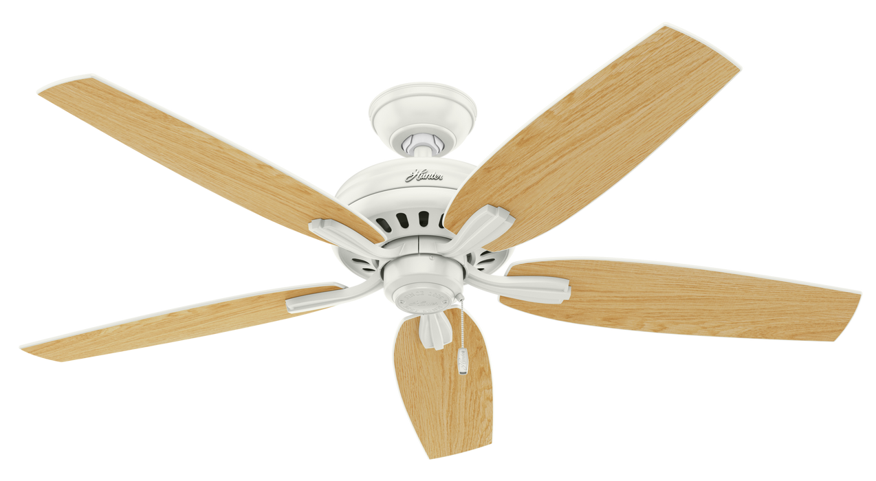 Newsome 52"Ceiling Fan-Fans-Hunter-Lighting Design Store