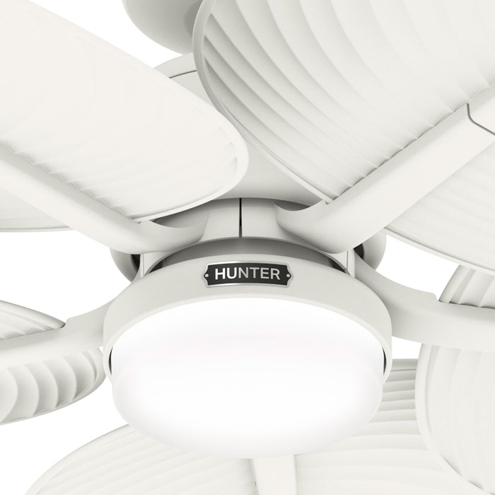 Tropic View 52"Ceiling Fan-Fans-Hunter-Lighting Design Store