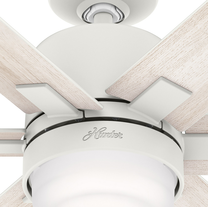 Radeon 52" Ceiling Fan-Fans-Hunter-Lighting Design Store