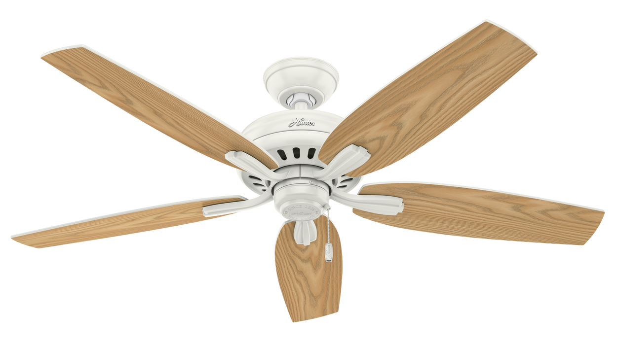 Newsome 52"Ceiling Fan-Fans-Hunter-Lighting Design Store