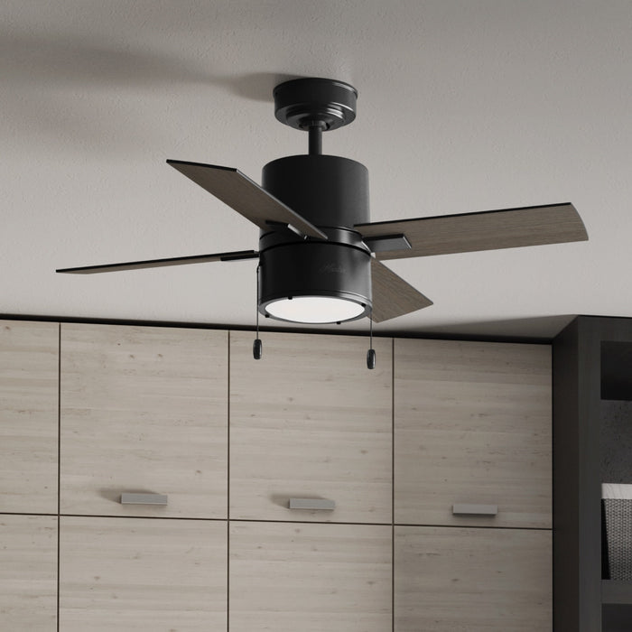 Beck 42"Ceiling Fan-Fans-Hunter-Lighting Design Store