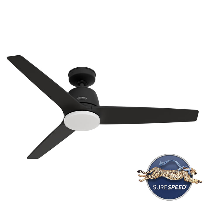 Malden 52"Ceiling Fan-Fans-Hunter-Lighting Design Store