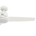 Malden 52"Ceiling Fan-Fans-Hunter-Lighting Design Store