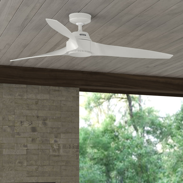 Mosley 60"Ceiling Fan-Fans-Hunter-Lighting Design Store