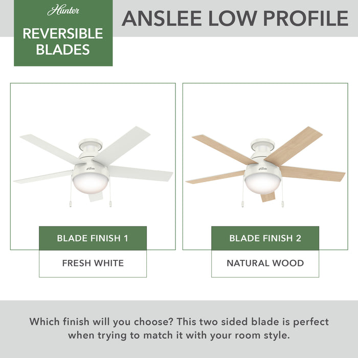 Anslee 46" Ceiling Fan-Fans-Hunter-Lighting Design Store