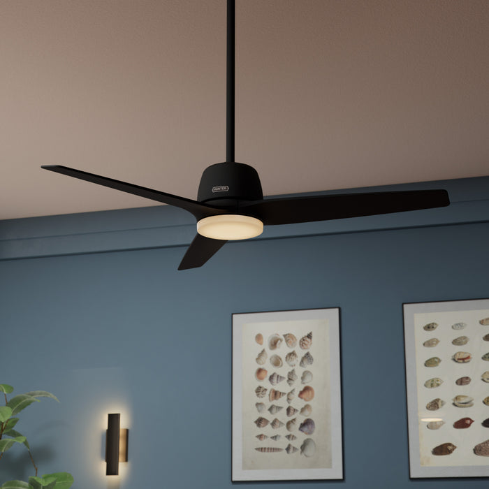 Malden 52"Ceiling Fan-Fans-Hunter-Lighting Design Store