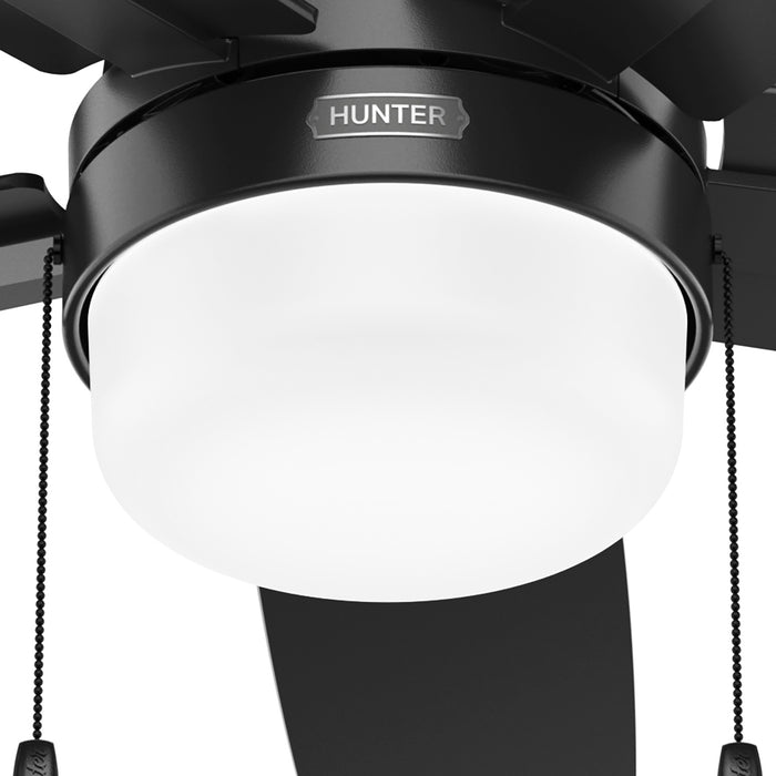 Anisten 52" Ceiling Fan-Fans-Hunter-Lighting Design Store