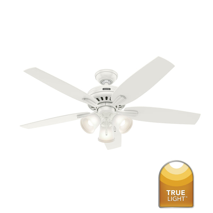 Newsome 52"Ceiling Fan-Fans-Hunter-Lighting Design Store