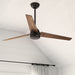 Cassius 60"Ceiling Fan-Fans-Hunter-Lighting Design Store