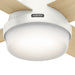 Dempsey 52" Ceiling Fan-Fans-Hunter-Lighting Design Store