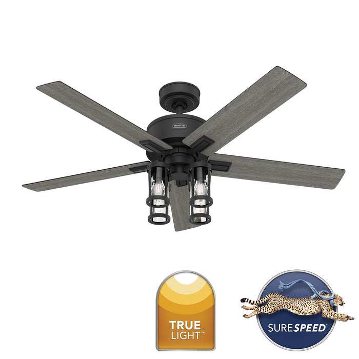 Astwood II 52"Ceiling Fan-Fans-Hunter-Lighting Design Store