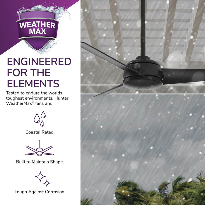 Trimaran 52" Ceiling Fan-Fans-Hunter-Lighting Design Store