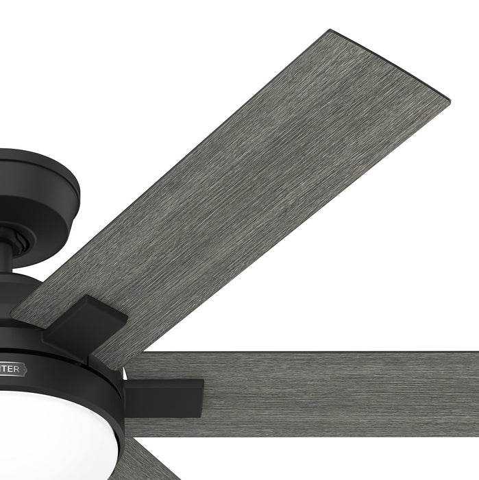 Georgetown 52"Ceiling Fan-Fans-Hunter-Lighting Design Store