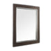 Varaluz - 4DMI0119 - Mirror - Macie - Farmhouse Steel