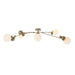 Hubbardton Forge - 128715-SKT-84-GG0639 - Five Light Semi-Flush Mount - Sprig - Soft Gold