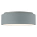 Access - 50941LEDD-GRY/ACR - LED Flush Mount - Radiant - Gray