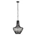 Varaluz - 339P03ABL - Three Light Pendant - Elsa - Black