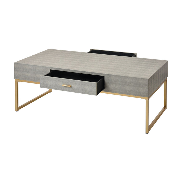 ELK Home - 3169-128 - Coffee Table - Les Revoires - Gray