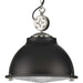 Progress Lighting - P500212-143 - One Light Pendant - Medal - Graphite