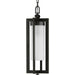 Progress Lighting - P550044-108 - One Light Hanging Lantern - Janssen - Oil Rubbed Bronze
