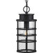 Progress Lighting - P550061-031 - One Light Hanging Lantern - Port Royal - Black