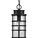 Progress Lighting - P550061-031 - One Light Hanging Lantern - Port Royal - Black