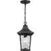 Progress Lighting - P550062-031 - One Light Hanging Lantern - Marquette - Black