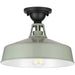 Progress Lighting - P550070-079 - One Light Semi Flush Mount - Cedar Springs - Pistachio
