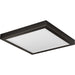 Progress Lighting - P860054-020 - Flush Mount - Everlume LED - Antique Bronze