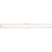 Access - 62573LEDD-BS/ACR - LED Vanity - Citi - Brushed Steel