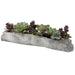 Uttermost - 60174 - Succulents - Charita - Greens And Burgundy