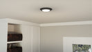 Quoizel - VRG1608EK - LED Flush Mount - Verge - Earth Black