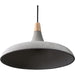 Renwil - LPC4331 - Ceiling Fixture - Viola-May - Brown