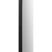 Renwil - MT2394 - Mirror - Webster - Black