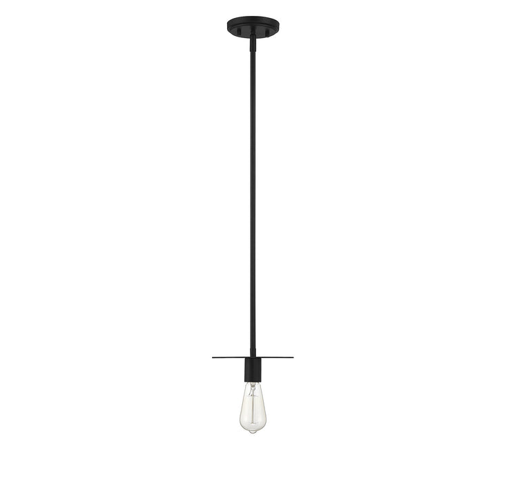 Meridian - M70113MBK - One Light Mini Pendant - Matte Black