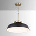 Capital Lighting - 9D331A - One Light Pendant - Oakwood - Matte Black