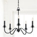 Capital Lighting - 9F375A - Five Light Chandelier - Weston - Matte Black