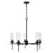 Capital Lighting - AA1017MB - Five Light Chandelier - Riley - Matte Black
