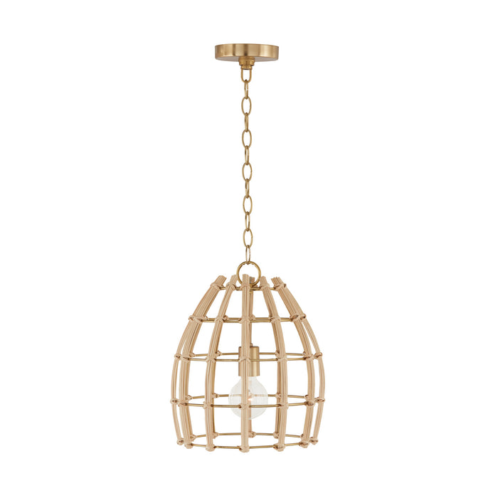 Capital Lighting - 344111MA - One Light Pendant - Wren - Matte Brass