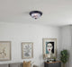 Canarm - IFM213MBK-RGC - Two Light Flush Mount - Ifm213Mbk-Rgc - Matte Black