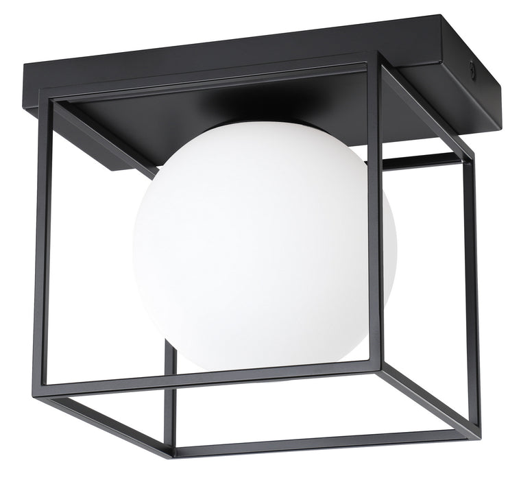 Eglo USA - 205618A - LED Wall/ Ceiling Light - Grayson - Matte Black