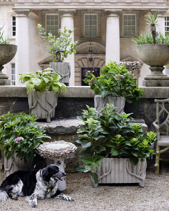Currey and Company - 2200-0020 - Planter - Faux Bois Planter - Portland/Faux Bois