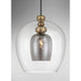 Metropolitan - N6662-865 - One Light Pendant - Amesbury - Coal And Oxidized Aged Brass