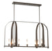 Hubbardton Forge - 131075-SKT-MULT-07-FD0462 - Nine Light Pendant - Triomphe - Dark Smoke