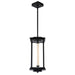 Hubbardton Forge - 131631-LED-MULT-10-ZM0734 - LED Pendant - Athena - Black
