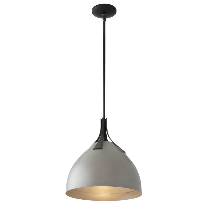 Hubbardton Forge - 134502-SKT-MULT-10-82 - One Light Pendant - Summit - Black