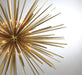 Lib & Co. - 10129-05 - 14 Light Chandelier - Trapani - Soft Brass