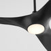 Quorum - 3-122-15 - 56" Ceiling Fan - Province - Black