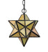 Meyda Tiffany - 263550 - One Light Pendant - Moravian Star - Antique