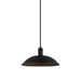 Matteo Lighting - C81901MB - One Light Pendant - Farmley